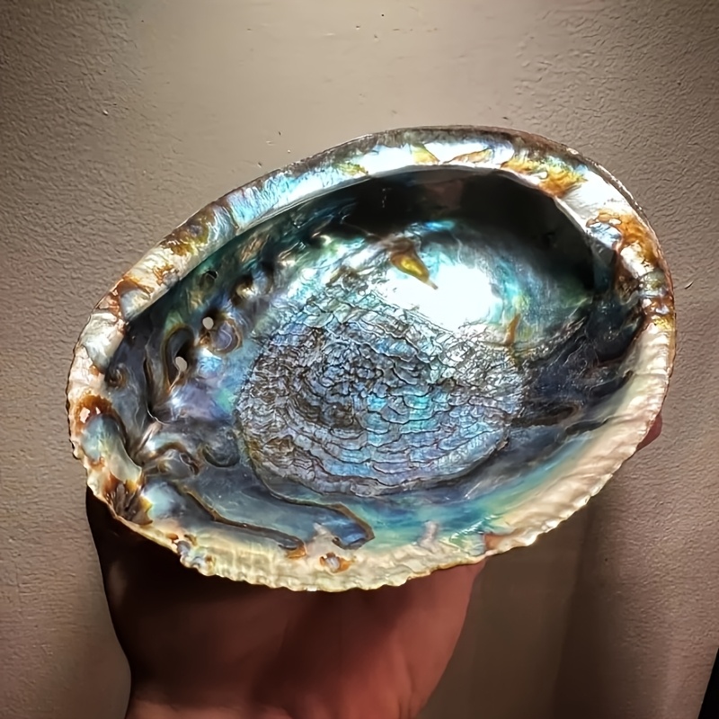 Outdoor Furniture Material - Pot Tanaman dari Cangkang Abalone, Ornamen