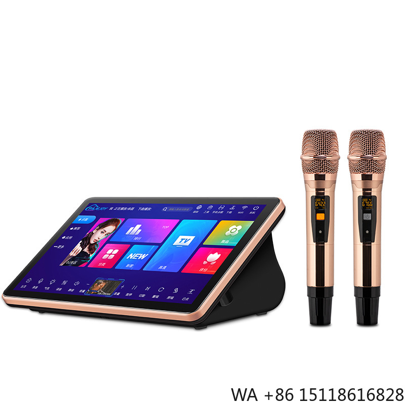 Sistem Suara Karaoke KTV Profe - Outdoor Furniture Brands ulasan dan harga